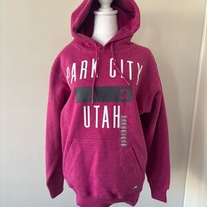 Park City Utah Men's Hoodie - Pink